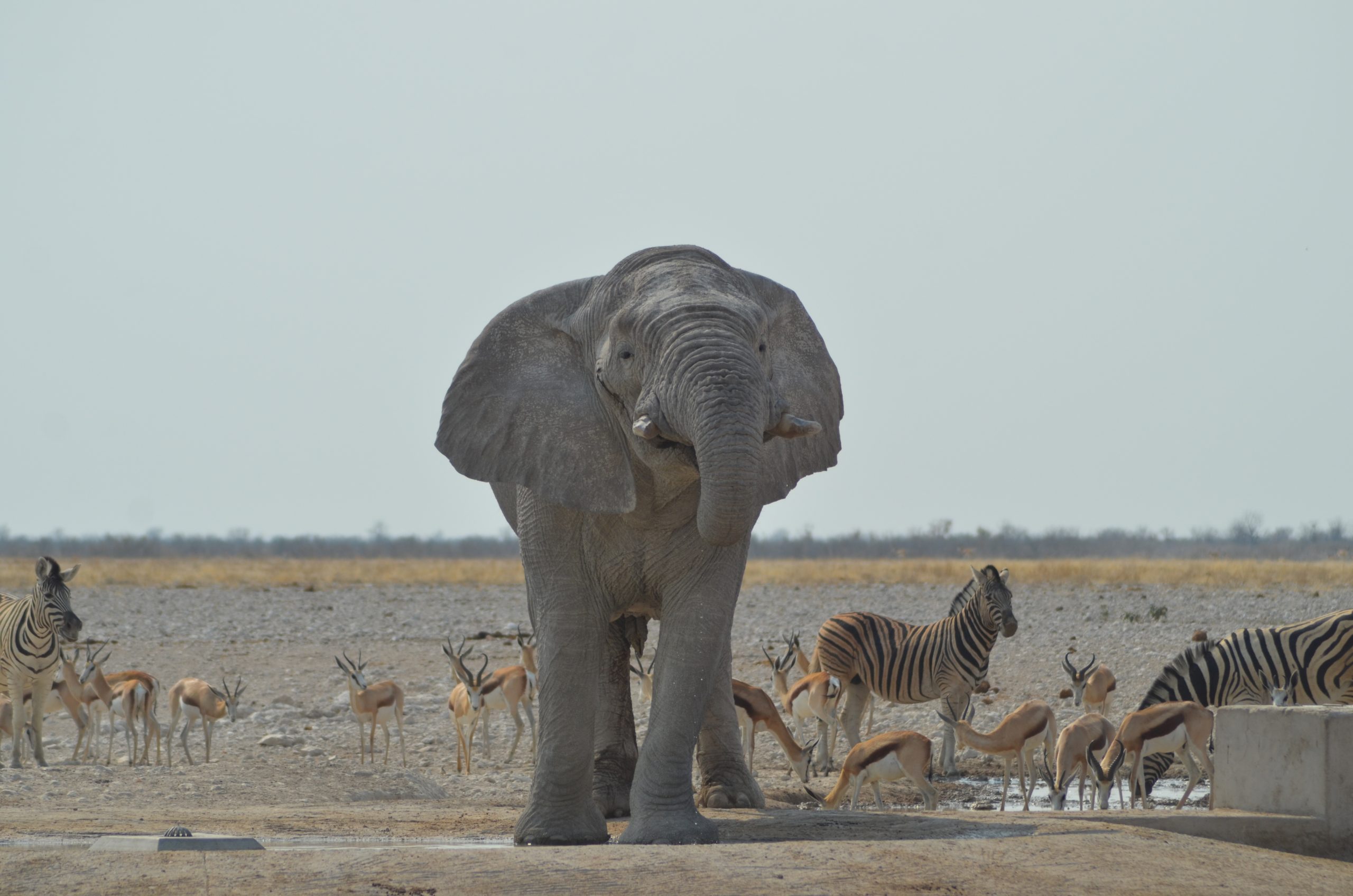 Abenteuer Namibia